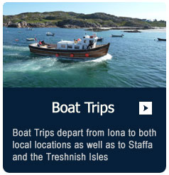 Boat trips